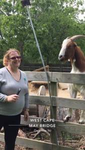 18698087_10213181704076160_6810341781060153997_n