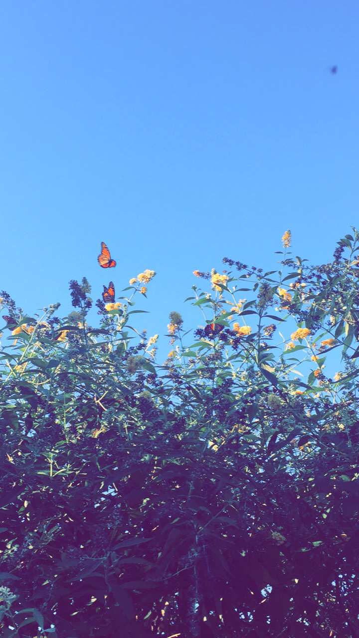 A day in the&nbsp;life